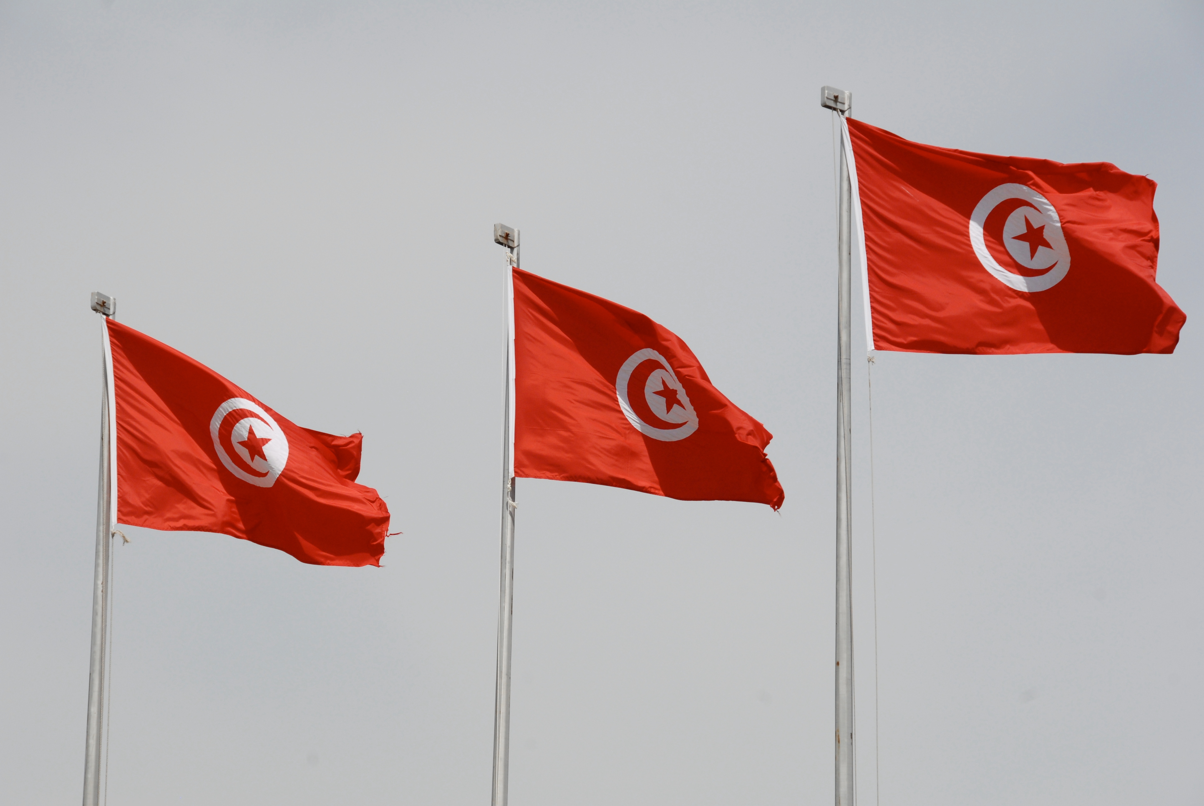 Egypt, Tunisia FMs keen to further enhance coop. in various fields