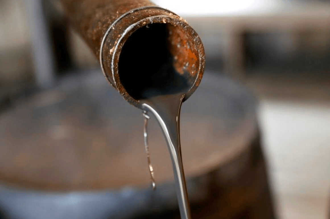 Petroleum minister probes with companies' officials future oil projects