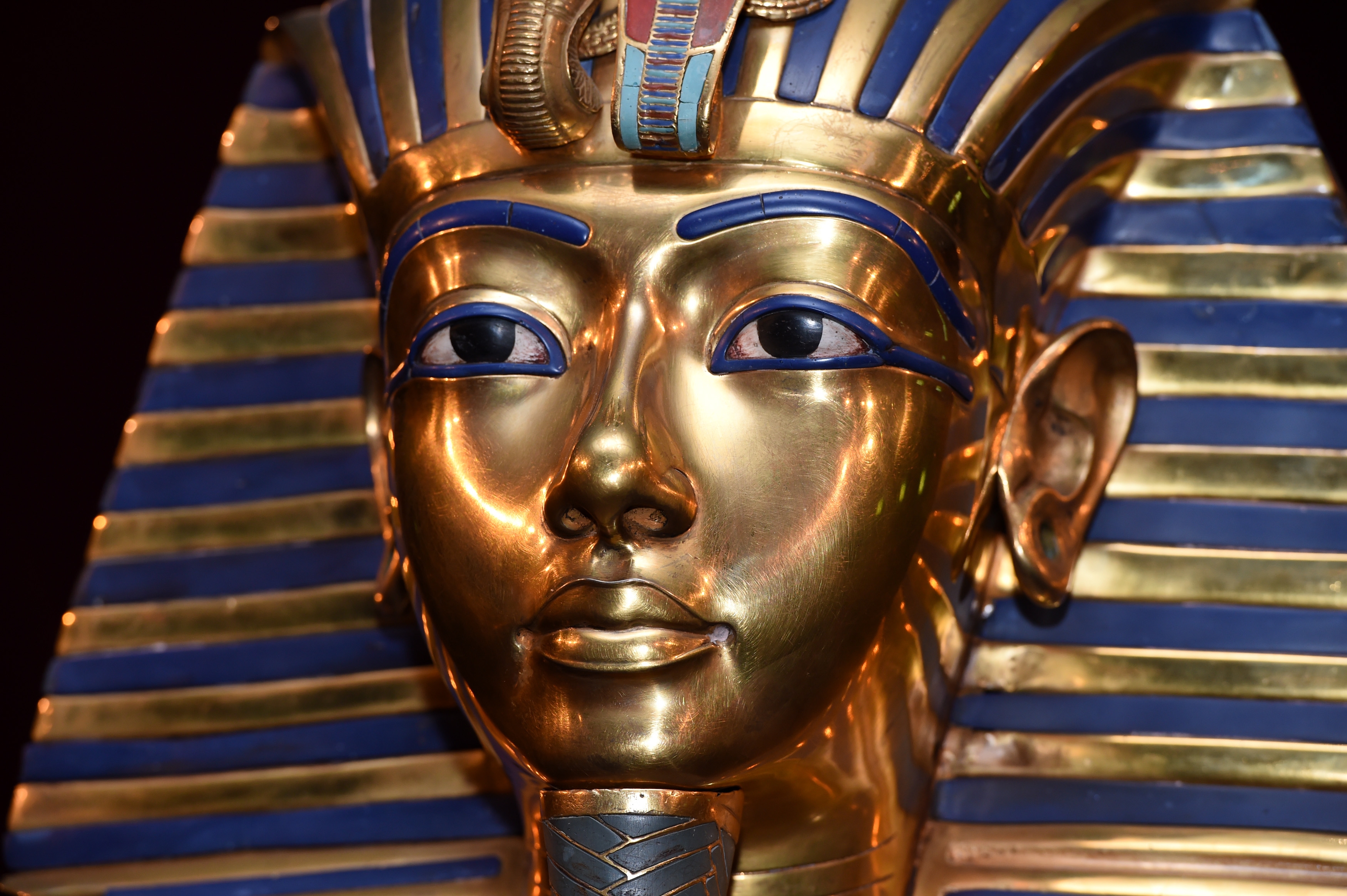 The curse of Tutankhamun's shrines