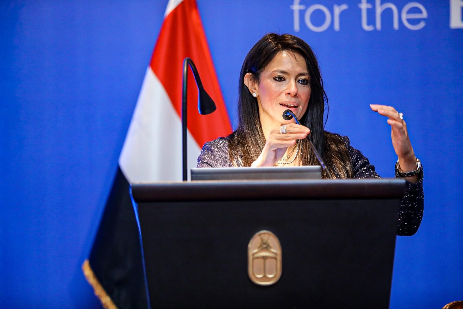 Egypt ranks 9th globally, 1st in Africa for FDI in 2024