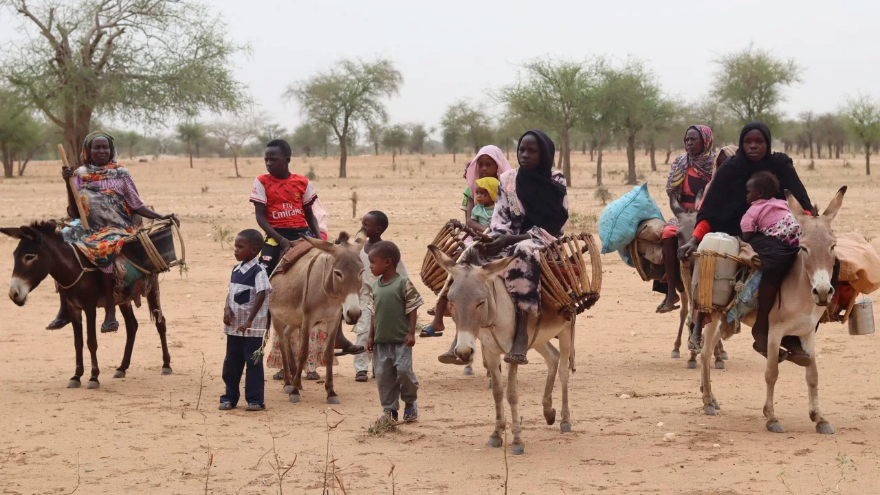 Egypt reaffirms call for holistic approach to refugee issues