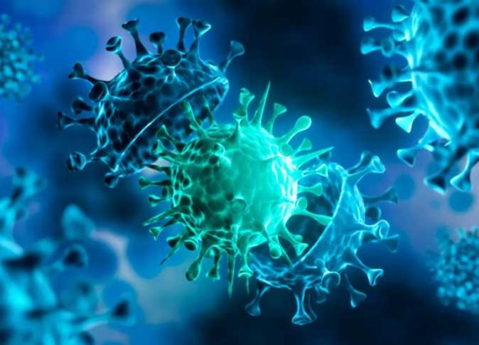 All you need to know about new bat Coronavirus found in China