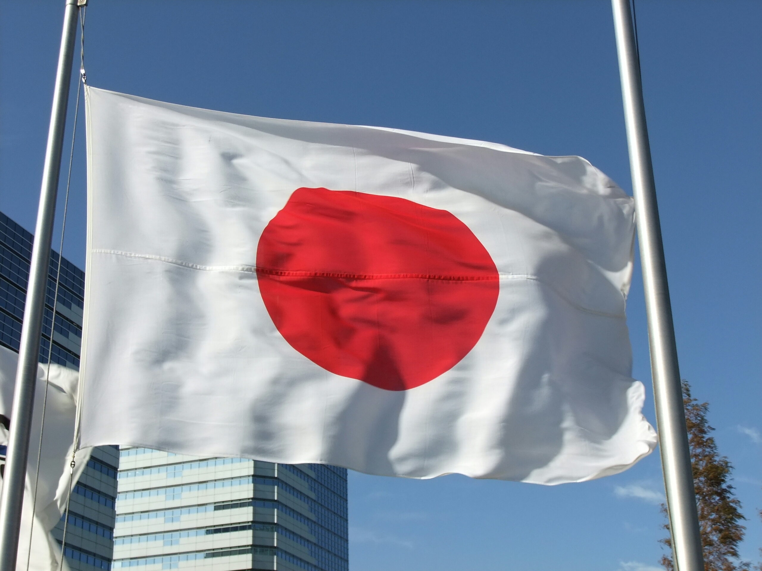 Egypt-Japan coop. resulted in pioneering educational models, developing students' personalities: Min.