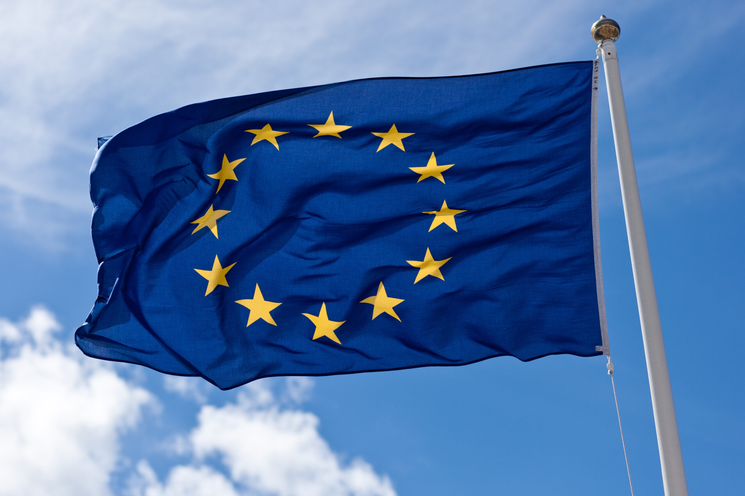 EU ambassador describes Egypt as 'close friend, partner'