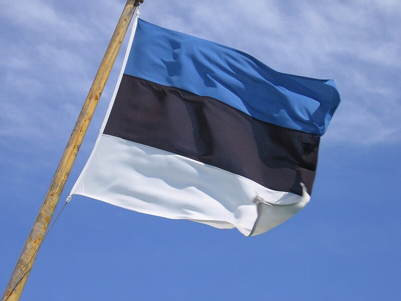 Assistant FM Holds Consultations With Estonian Envoy For Multilateralism, Mediation