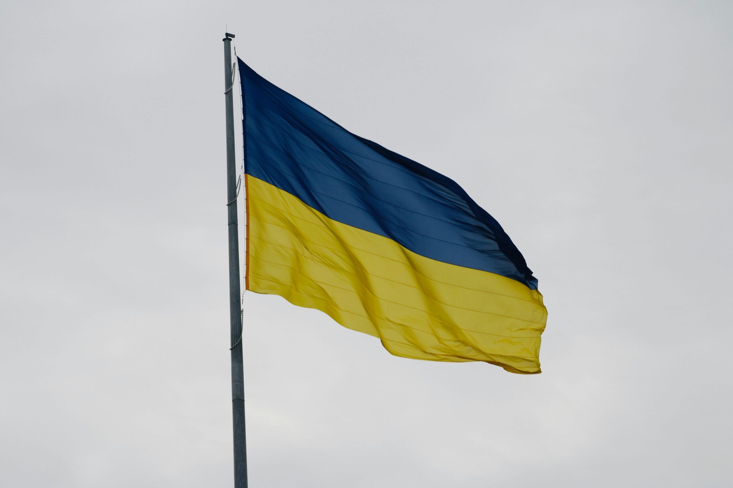 Egypt welcomes diplomatic efforts for holding direct talks to resolve Ukraine crisis