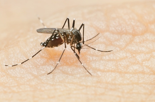 LDH confirms first human West Nile virus of season