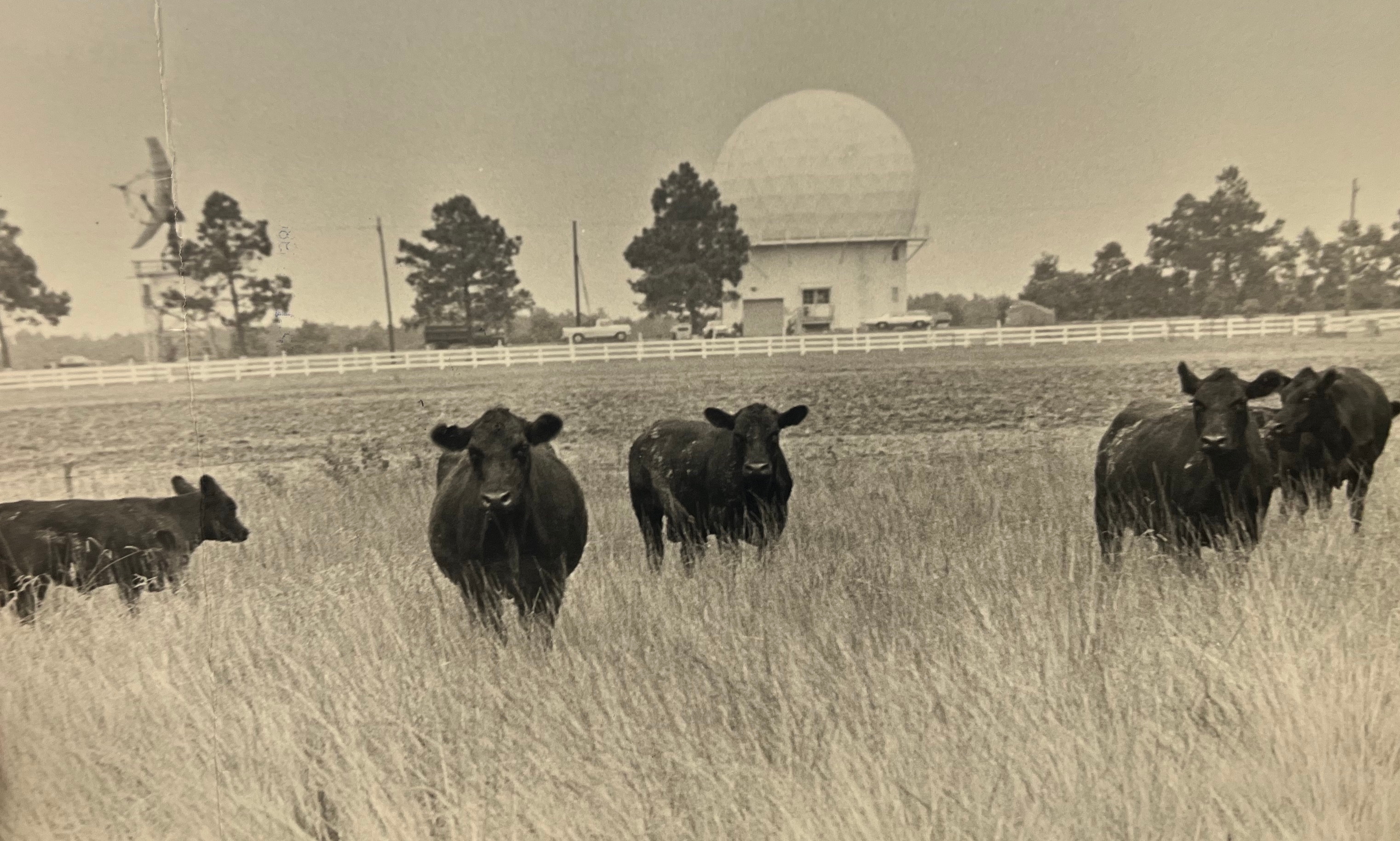 The Informer: Radar station moniker was ‘mushroom on the horizon'