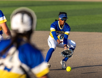 Lions force deciding game