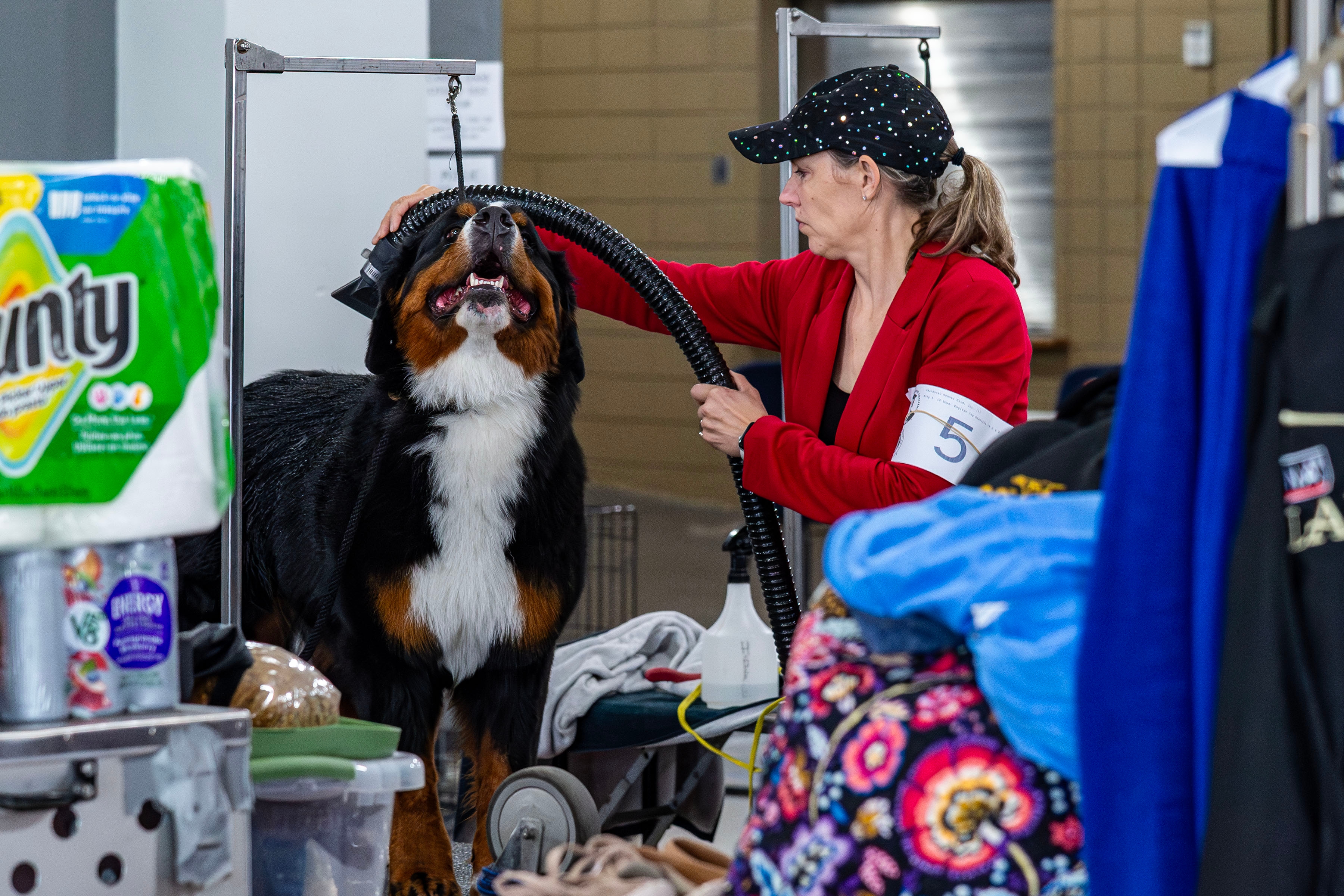 PHOTO GALLERY: Cajun Cowboy Cluster of Dog Shows gets underway