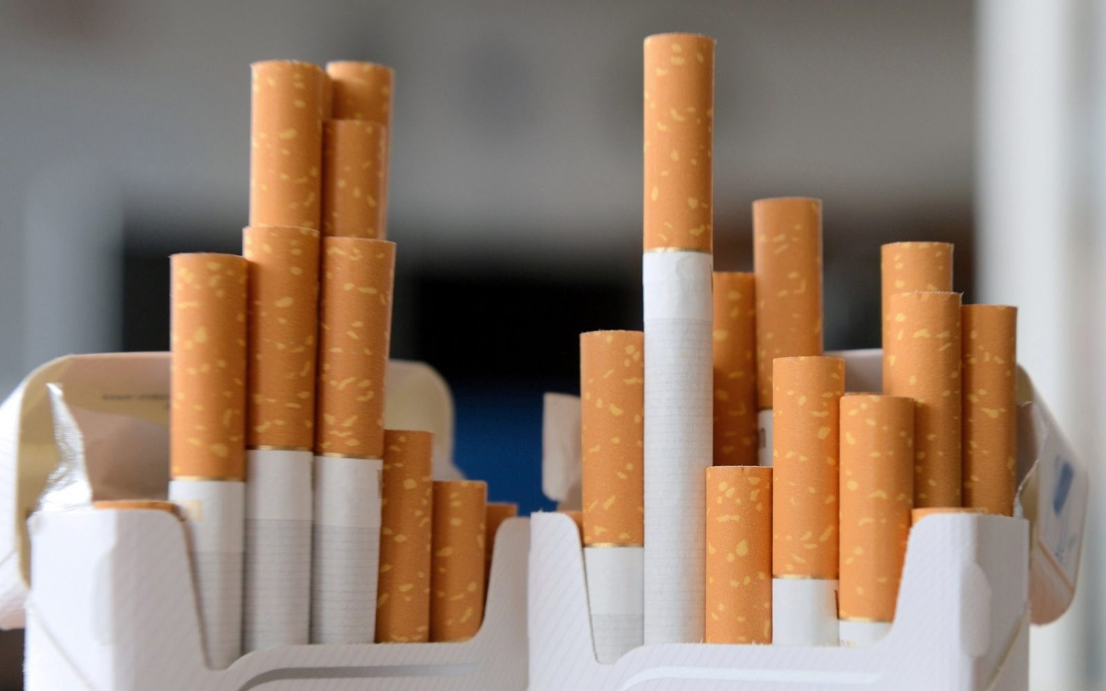 رسميا.. البرلمان يقر زيادة جديدة في أسعار السجائر والكحوليات بنسبة 12% سنويًا