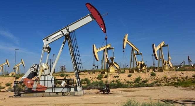 مصادر بهيئة البترول: بدء إنتاج 6000 برميل نفط مكافئ خلال الربع الثالث