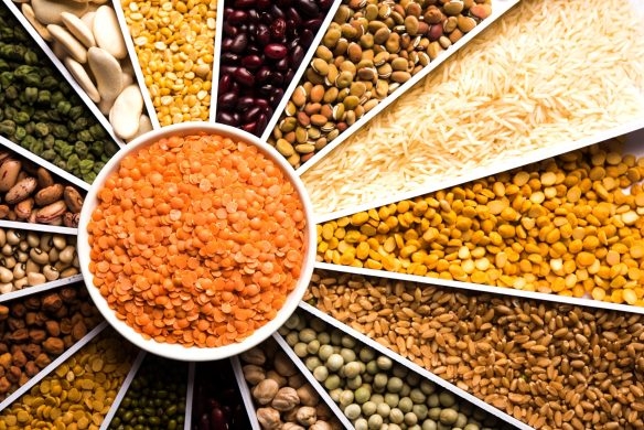الأرز يرتفع 137%.. واردات مصر من السلع الزراعية تقارب 1.8 مليار دولار خلال الربع الأول