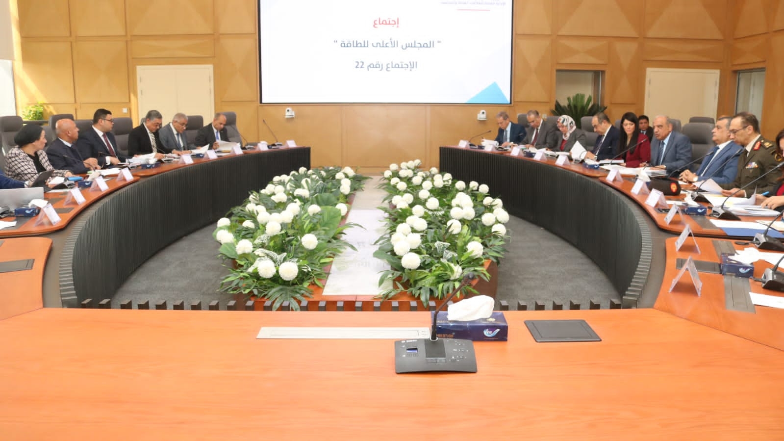 المجلس الأعلى للطاقة يناقش توفير الكهرباء لـ14 مشروعاً صناعياً جديداً