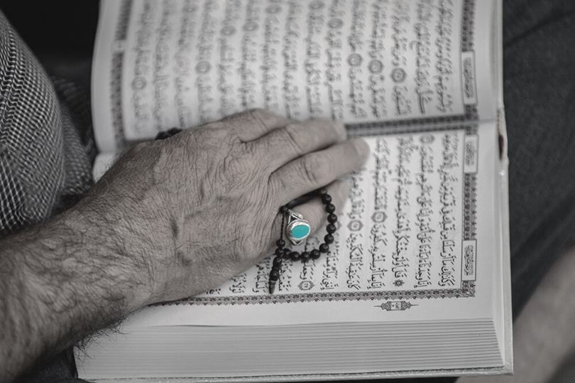 الاصلاح في الارض