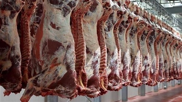 شركة اللّحوم ستوفر كمّيات من لحوم الضّأن والأبقار في إطار تعديل العرض بالسّوق بمناسبة عيد الاضحى