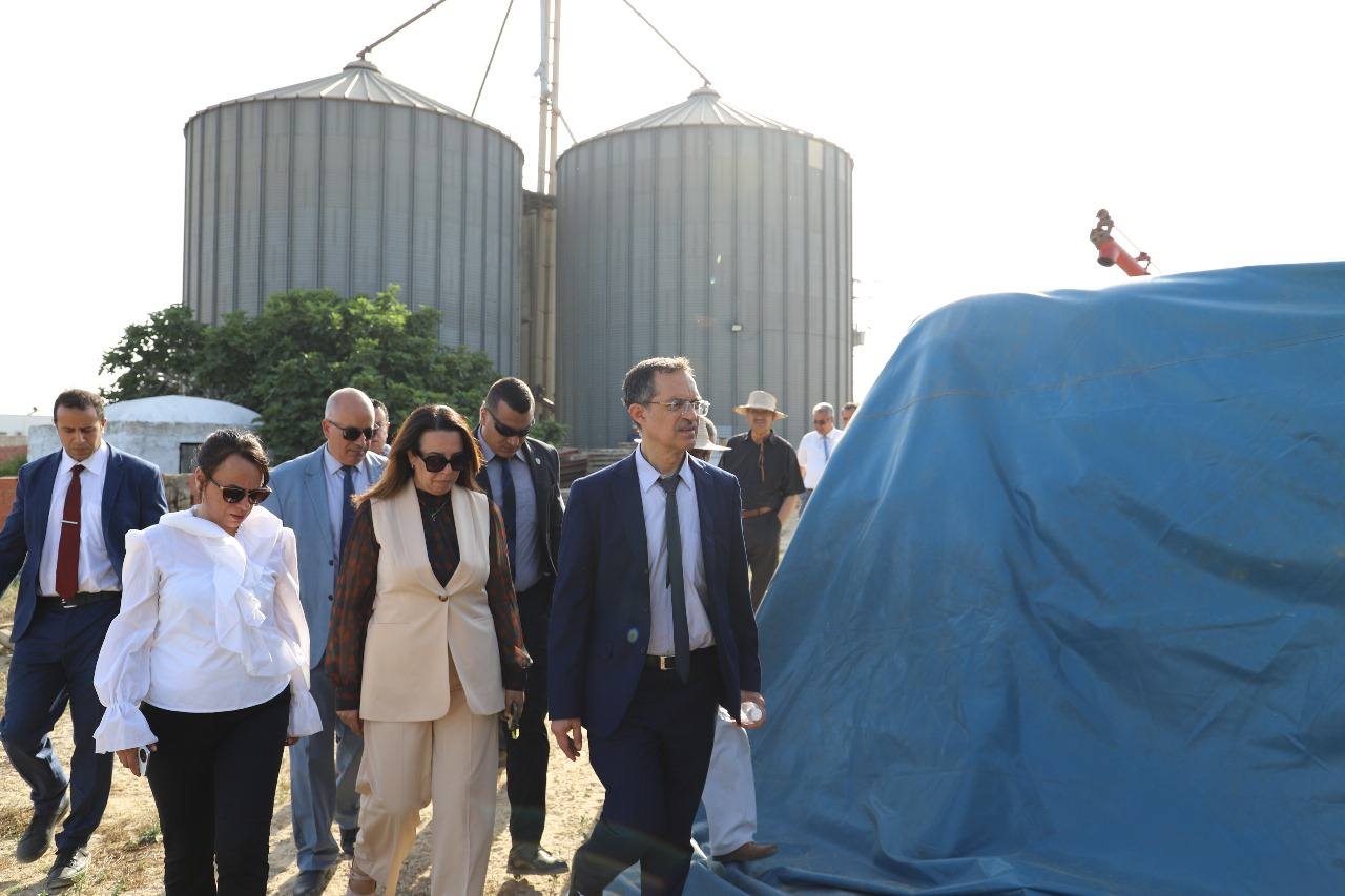 نابل: وزير الفلاحة يتابع مشاغل فلاحي الجهة ويطلع على وضعية بعض المنشآت المائية ومدى تقدم موسم الحصاد والتجميع