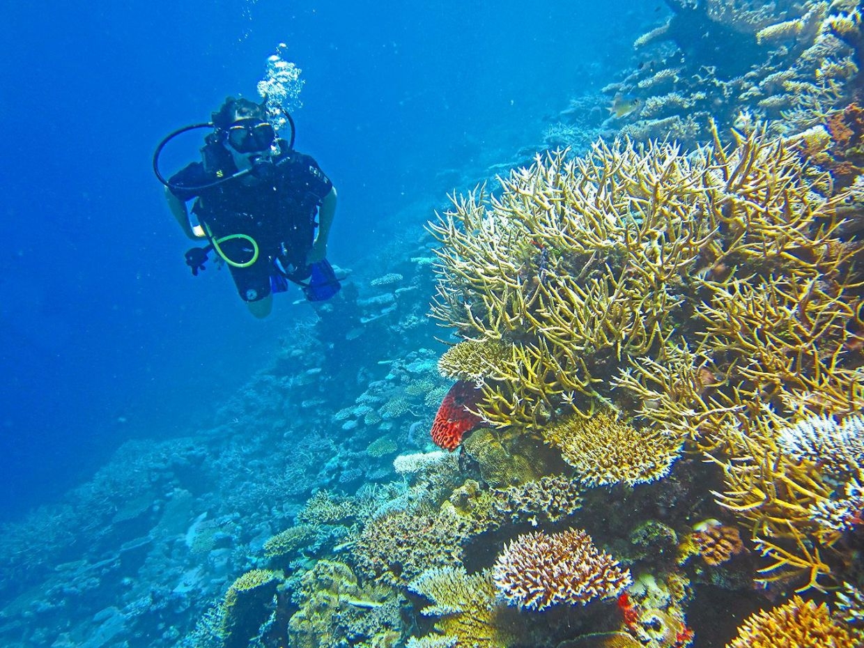 More resorts in the Maldives adopting green practices