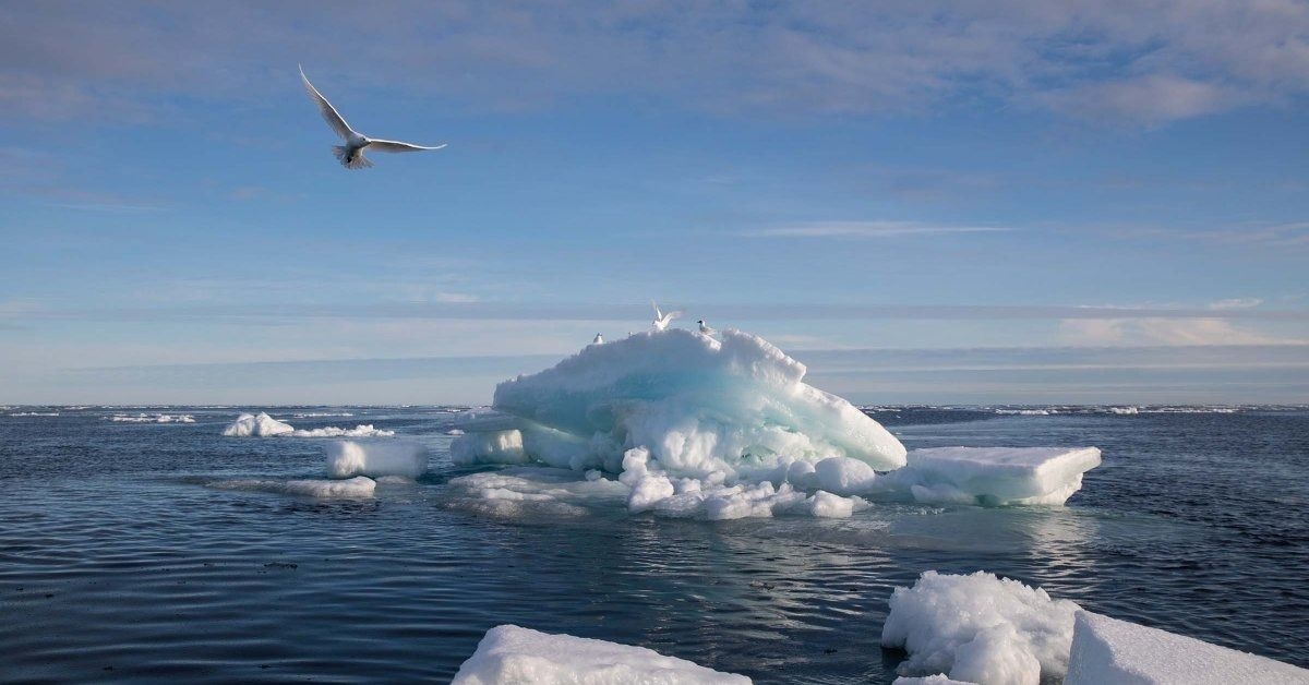 Arctic sea ice reaches smallest extent in 46 years after unprecedented melting