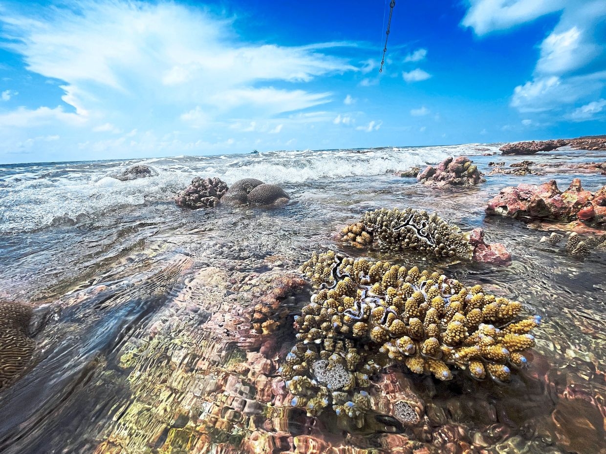 Top chef joins luxury fishing trip and every catch becomes a gourmet masterpiece