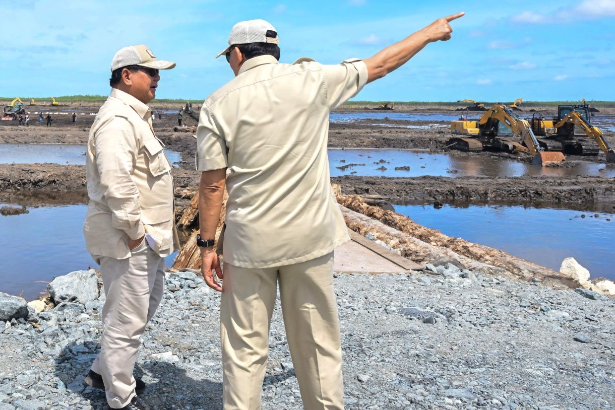 Indonesia food plan risks largest deforestation in the world
