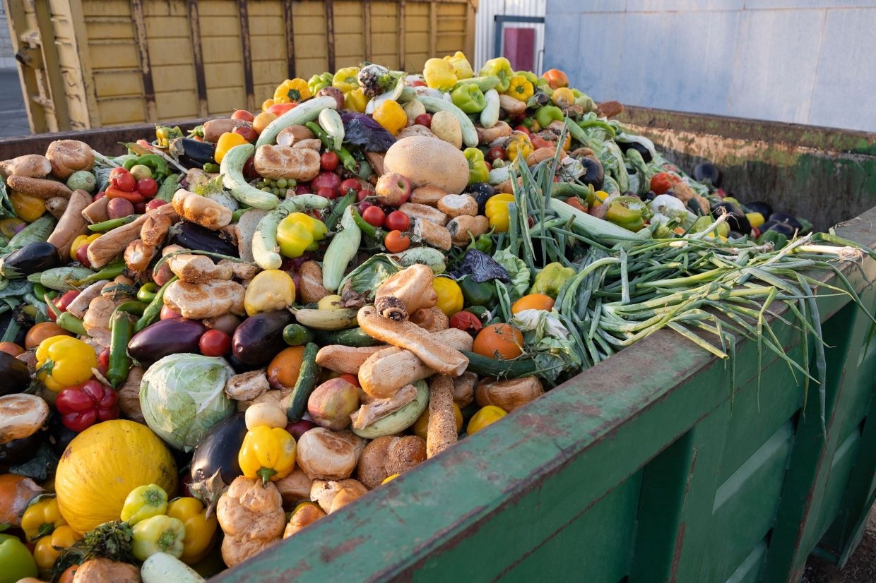 How AI is helping to curb food waste