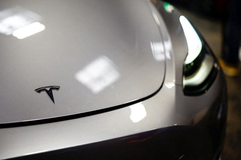 Tesla shares rise 6.5%, Musk says to cut back DOGE work