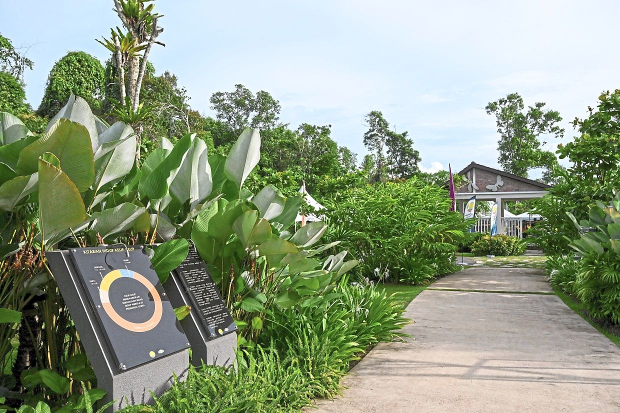 Firefly sanctuary funded by federal government launched in Kemaman