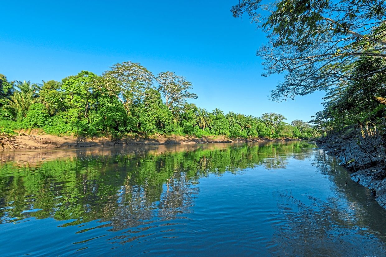 Nature's buffer for biodiversity