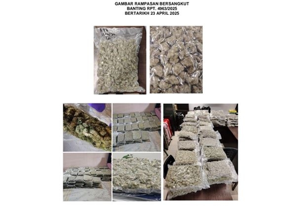 Cops seize millions of ringgit worth of ganja intended for European market