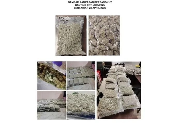 RM2.64m of Europe-bound drugs seized