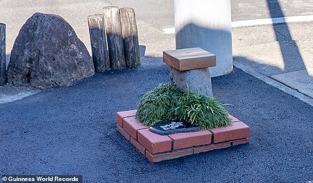 Japan's Shizuoka pocket park recognised as world's smallest