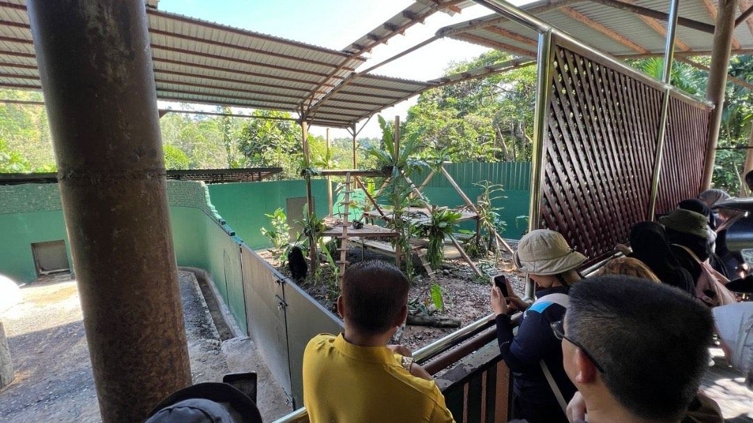 Sun bear exhibit at wildlife park upgraded for better public viewing