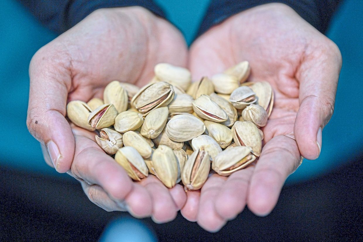 Nuts about pistachio: What makes this nut so popular in Malaysia?