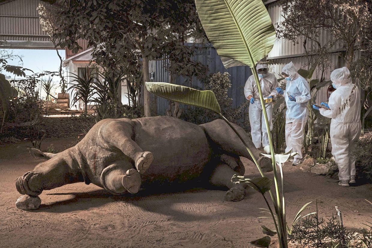 Inside South Africa's wildlife CSI school helping to catch poachers