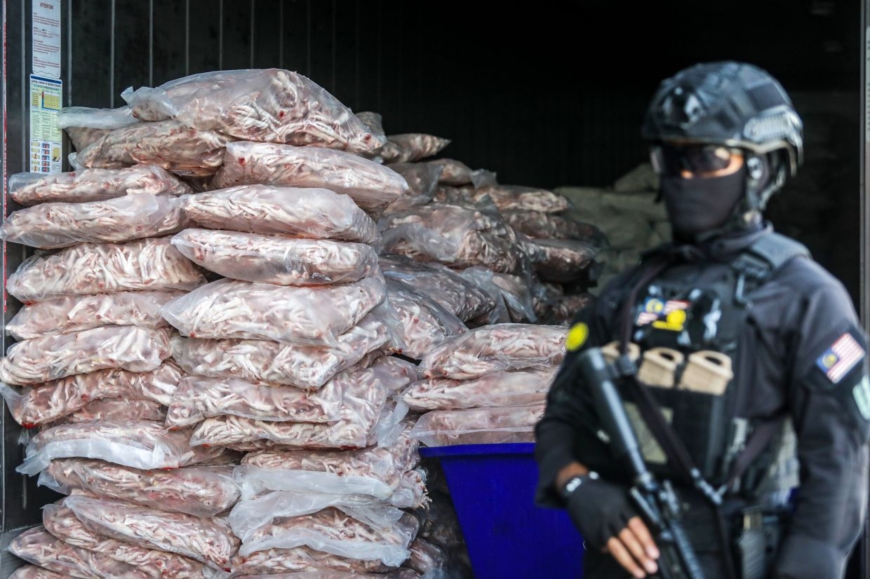 Claws for concern: GOF probes cross-border ring links to 41-tonne frozen chicken parts seizure in Perlis