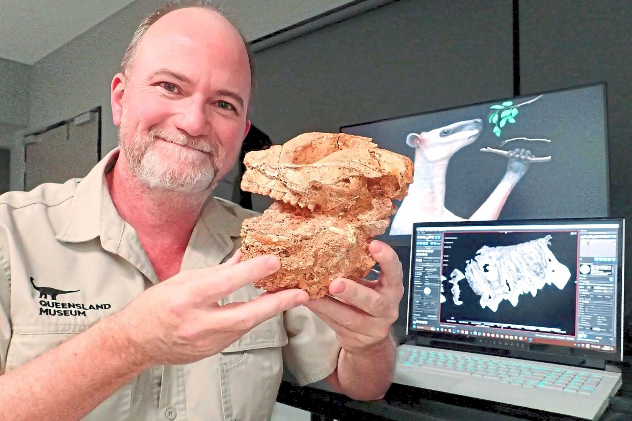 How giant prehistoric kangaroos died