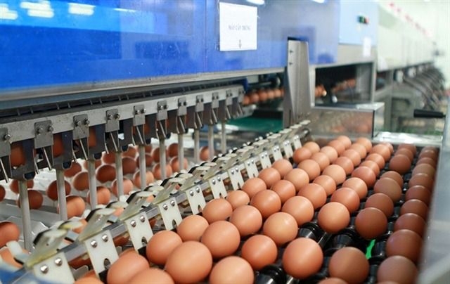 Reconsider egg price control withdrawal, subsidy removal, MCA VP urges govt