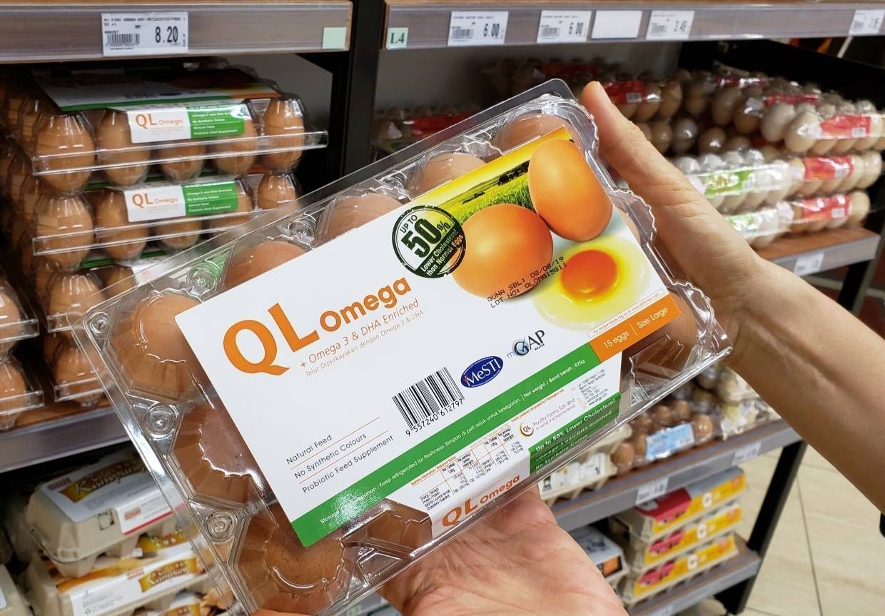 Termination of egg subsidy uplifts poultry stocks