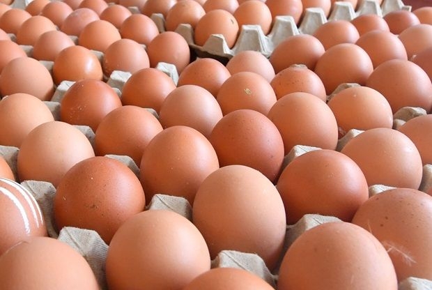 All eyes on egg prices after Aug 1