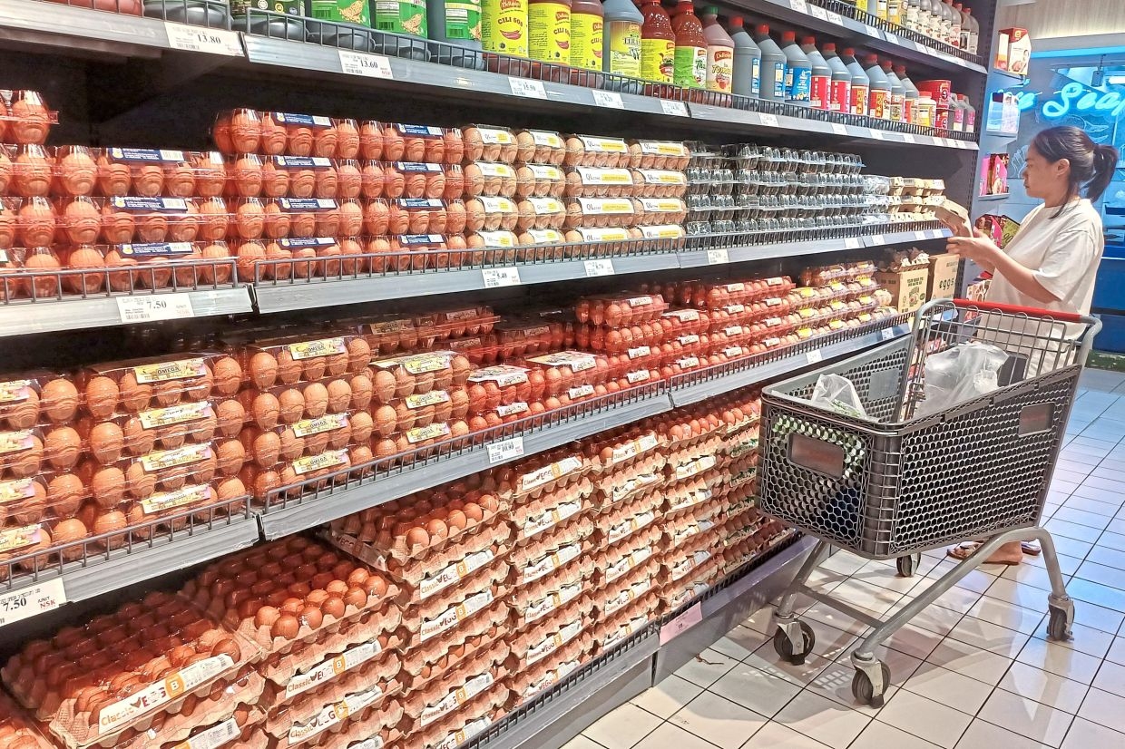 Egg subsidy cut won't crack prices