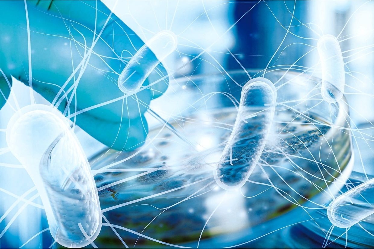 An E. coli link to bowel cancer in younger patients