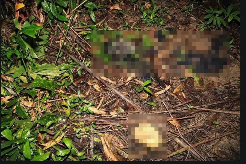 Skeletal remains found in bushes believed to be that of missing Bera man, say cops