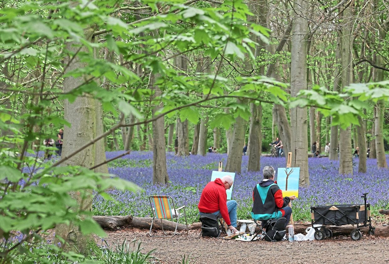 Smell the flowers: Spending time in nature can be a balm in stressful times