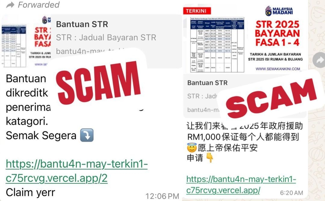 Scam alert: Official govt websites only end with 'gov.my', warns Teo