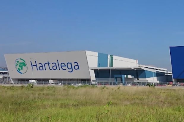 Hartalega's net profit surges to RM74.54mil in FY25