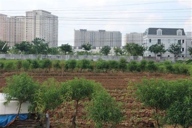 More clarity needed to ease investment procedures in Vietnam