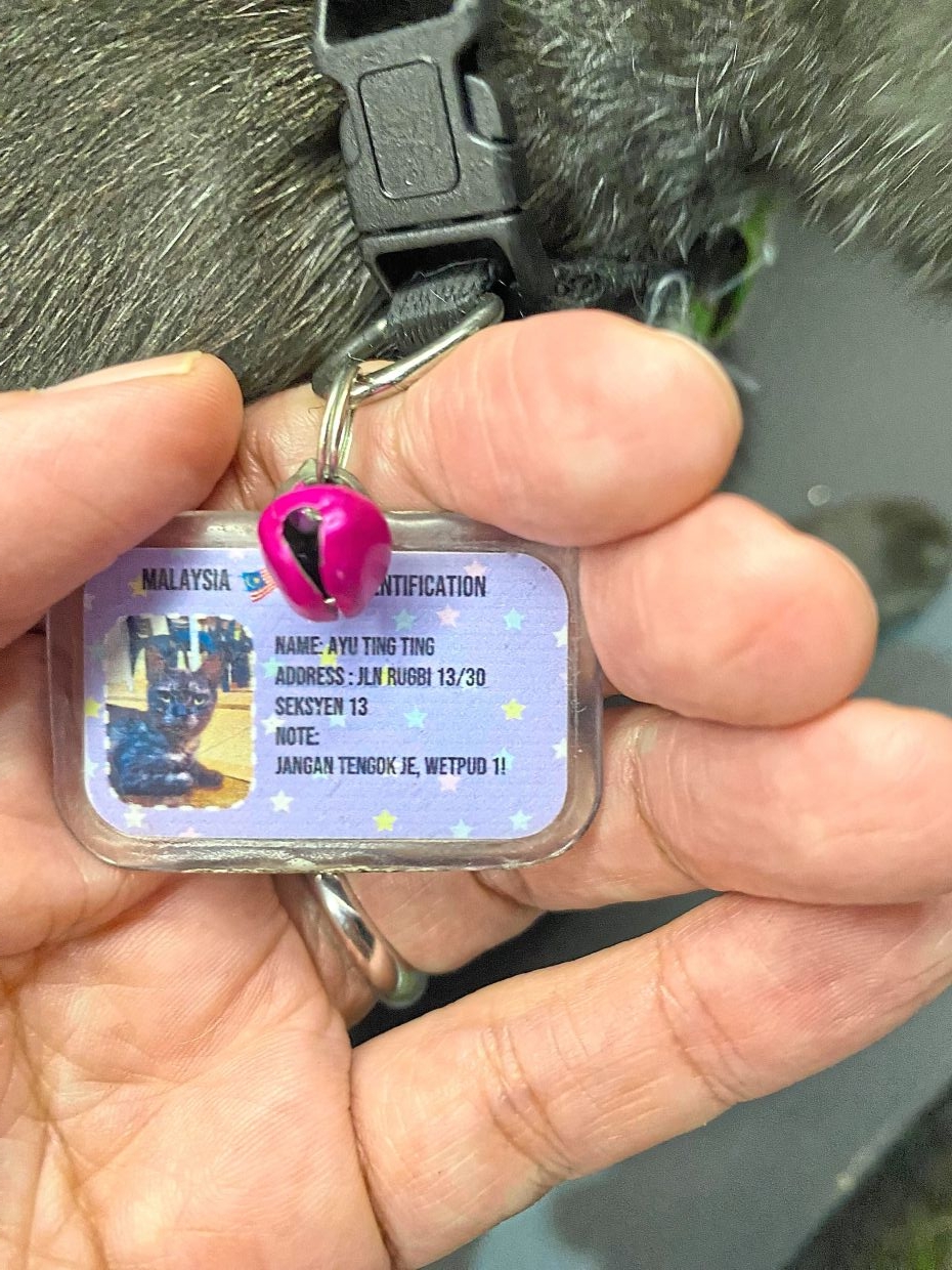Heart And Soul: Malaysians of all backgrounds unite to care for stray animals