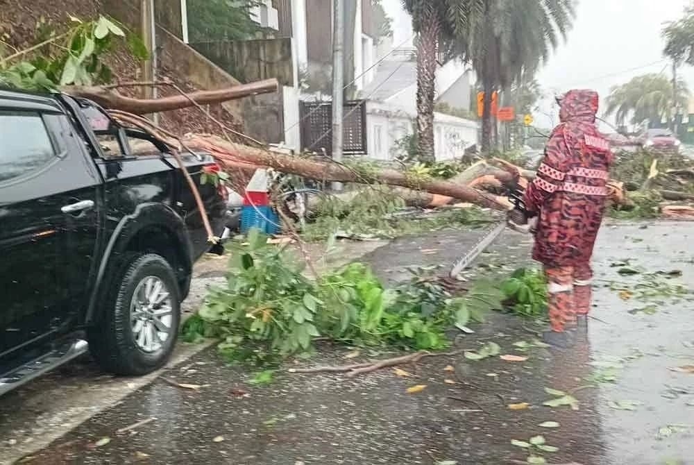 Two vehicles damaged as tree topples in Bangsar