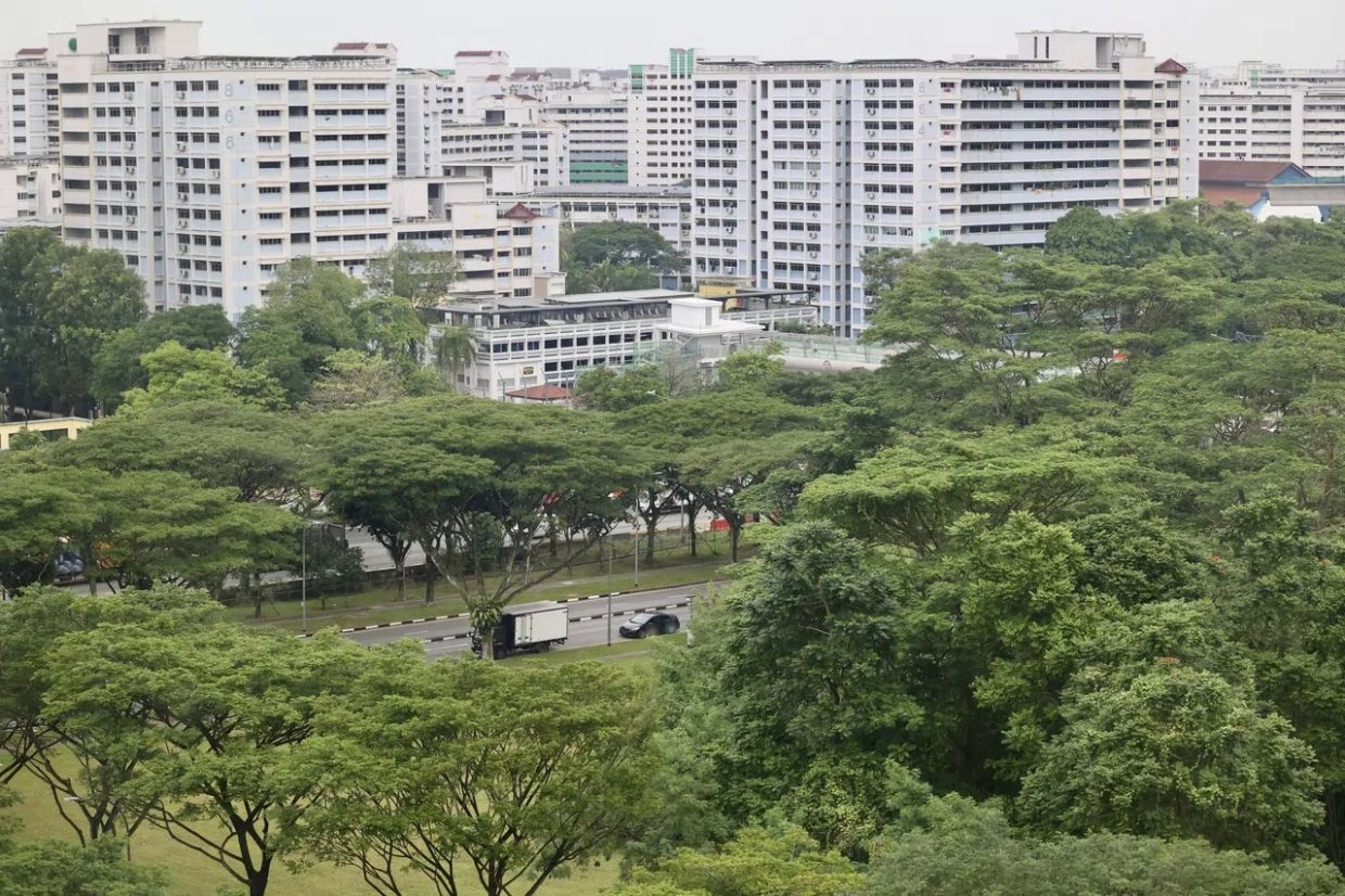 Private green investments in South-East Asia-6 jump 43% to US$8bil in 2024, led by Malaysia and Singapore